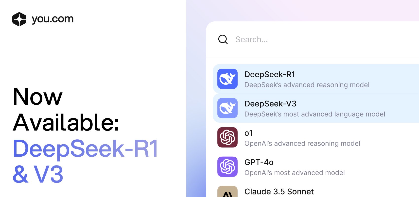 deepseek-in-you-com.jpg